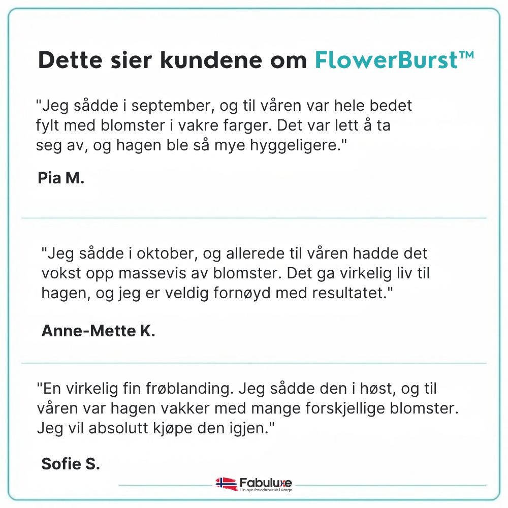 FlowerBurst™ | Så nå og gled deg til våren