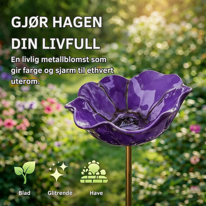 FloraOasis™ | Gi hagen mer liv, farge og ro