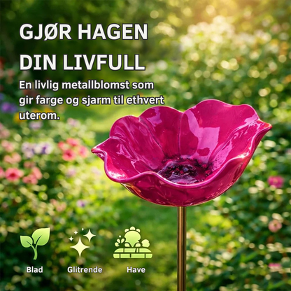 FloraOasis™ | Gi hagen mer liv, farge og ro