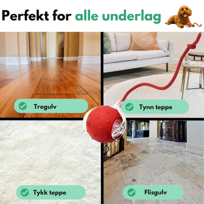 MagicBall™ | Aktiv lek – selv når du ikke er med