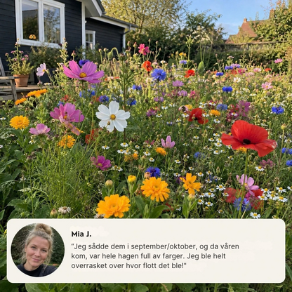 FlowerBurst™ | Så nå og gled deg til våren