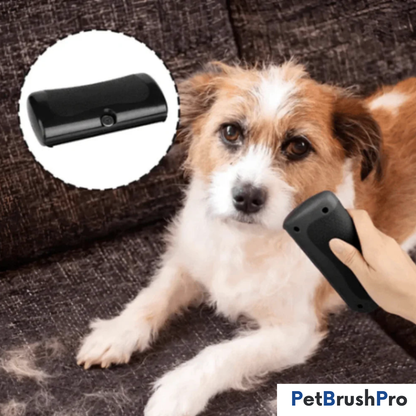 PetBrush™ Pro | Den ultimate hundebørsten mot røyting og lopper