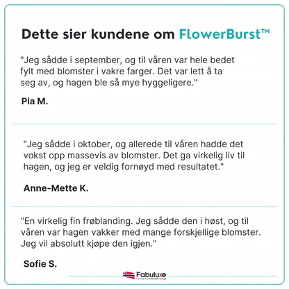 FlowerBurst™ | Så nå og gled deg til våren