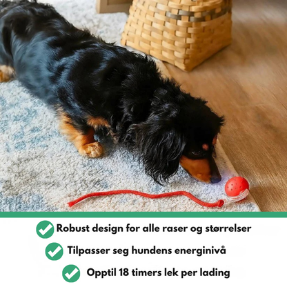 MagicBall™ | Aktiv lek – selv når du ikke er med