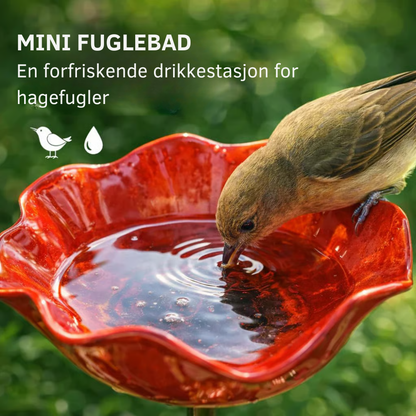 FloraOasis™ | Gi hagen mer liv, farge og ro