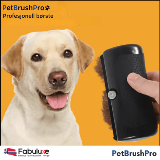 PetBrush™ Pro | Den ultimate hundebørsten mot røyting og lopper