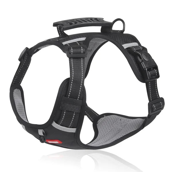 WalkEase™ | Gjør turer rolige og behagelige igjen