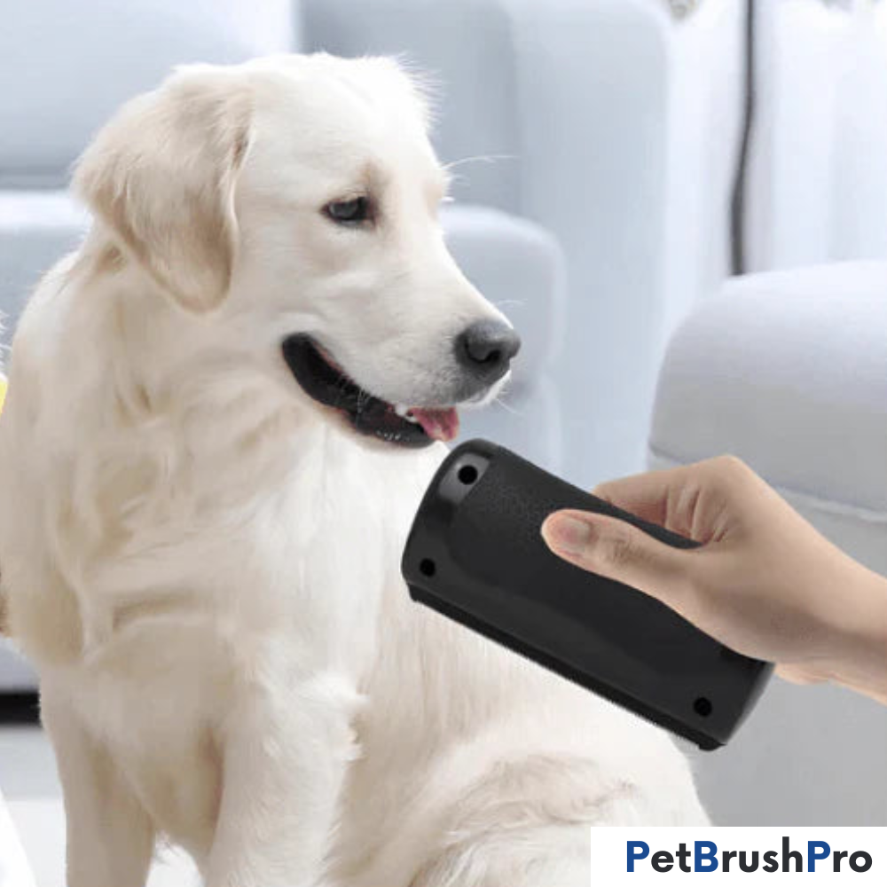 PetBrush™ Pro | Den ultimate hundebørsten mot røyting og lopper