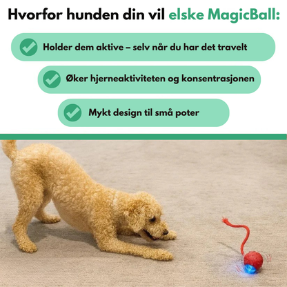 MagicBall™ | Aktiv lek – selv når du ikke er med