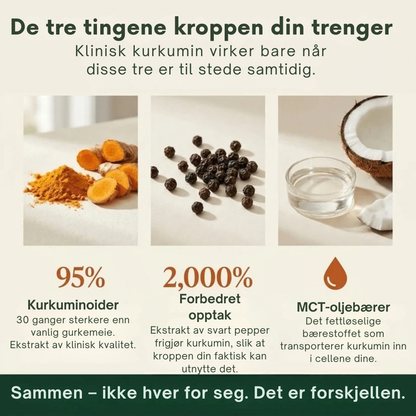 Relivon™ | Mer bevegelighet med bedre opptak av curcumin