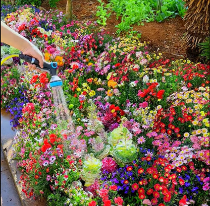 FlowerBurst™ | Så nå og gled deg til våren