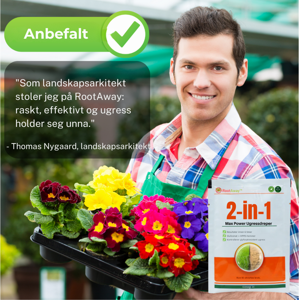 RootAway™ | Få rene uteområder uten evig kamp