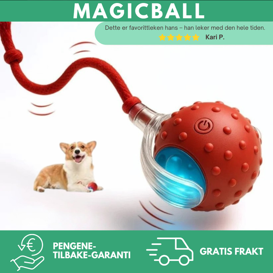 MagicBall™ | Aktiv lek – selv når du ikke er med