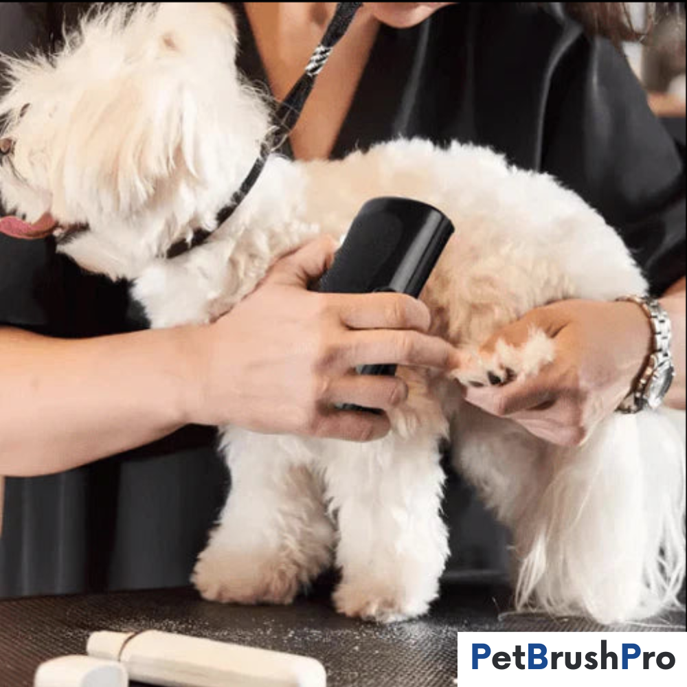 PetBrush™ Pro | Den ultimate hundebørsten mot røyting og lopper