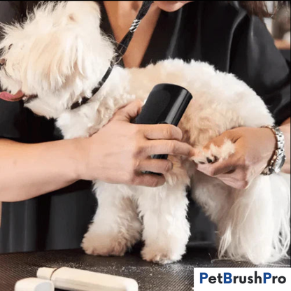 PetBrush™ Pro | Den ultimate hundebørsten mot røyting og lopper