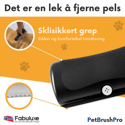 PetBrush™ Pro | Den ultimate hundebørsten mot røyting og lopper
