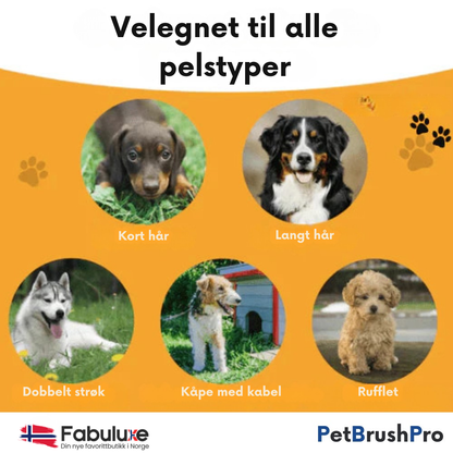 PetBrush™ Pro | Den ultimate hundebørsten mot røyting og lopper