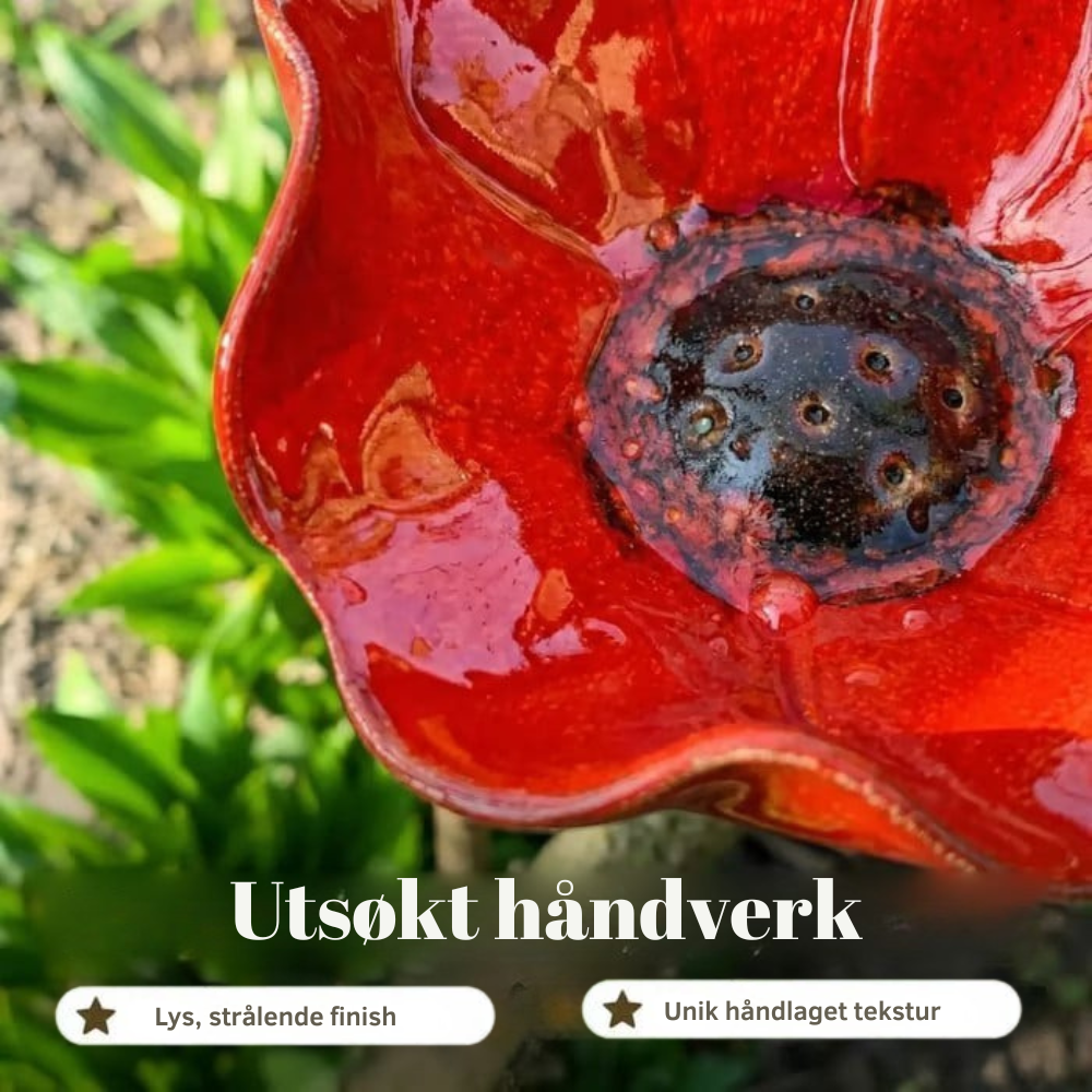 FloraOasis™ | Gi hagen mer liv, farge og ro