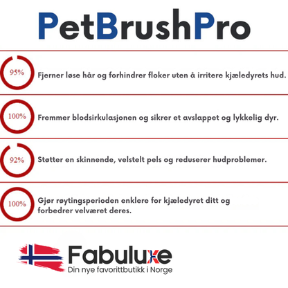 PetBrush™ Pro | Den ultimate hundebørsten mot røyting og lopper