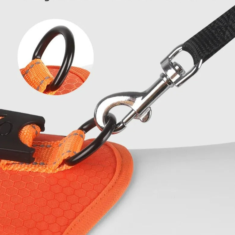 WalkEase™ | Gjør turer rolige og behagelige igjen