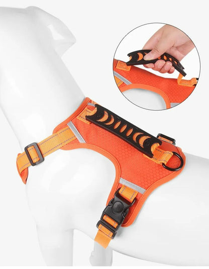 WalkEase™ | Gjør turer rolige og behagelige igjen