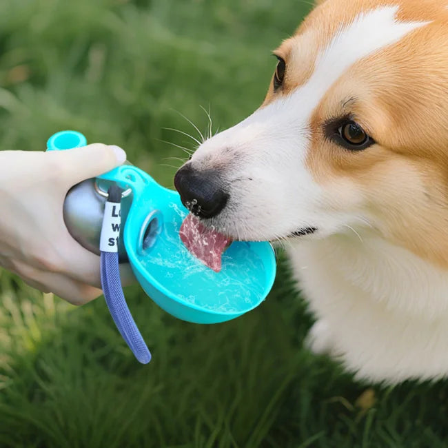 HydroPet™ | Gi hunden din friskt vann hvor som helst